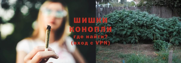 гидропоника Балабаново