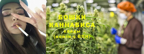 прущие грибы Балахна