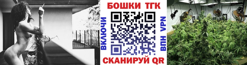 Бошки Шишки VHQ  закладки  Велиж 